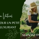 Jardin Vertical : Secrets pour un Petit Espace Luxuriant